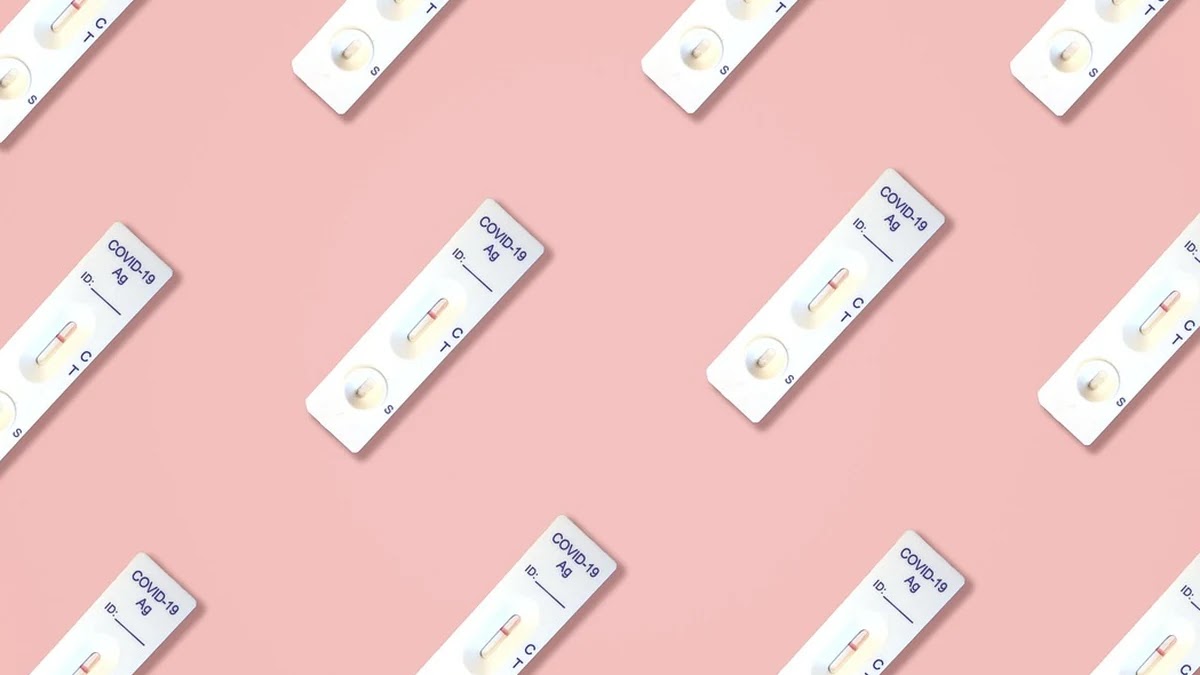 간 기능 검사 항목별 신체 구조 해석과 비용 비교