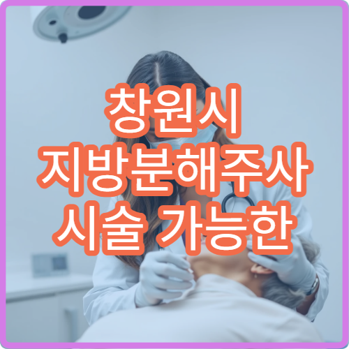 창원시 지방분해주사 시술 가능한 병원과 비용 안내