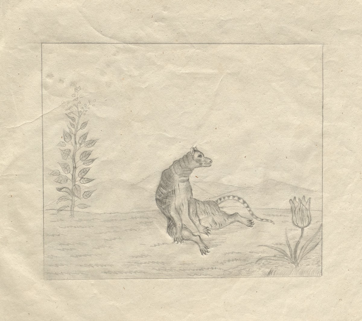 Sketchbook 1850