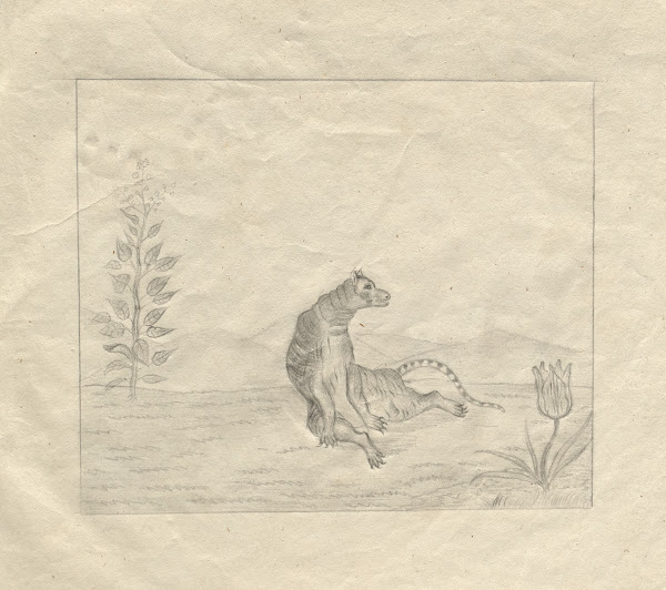 Sketchbook 1850
