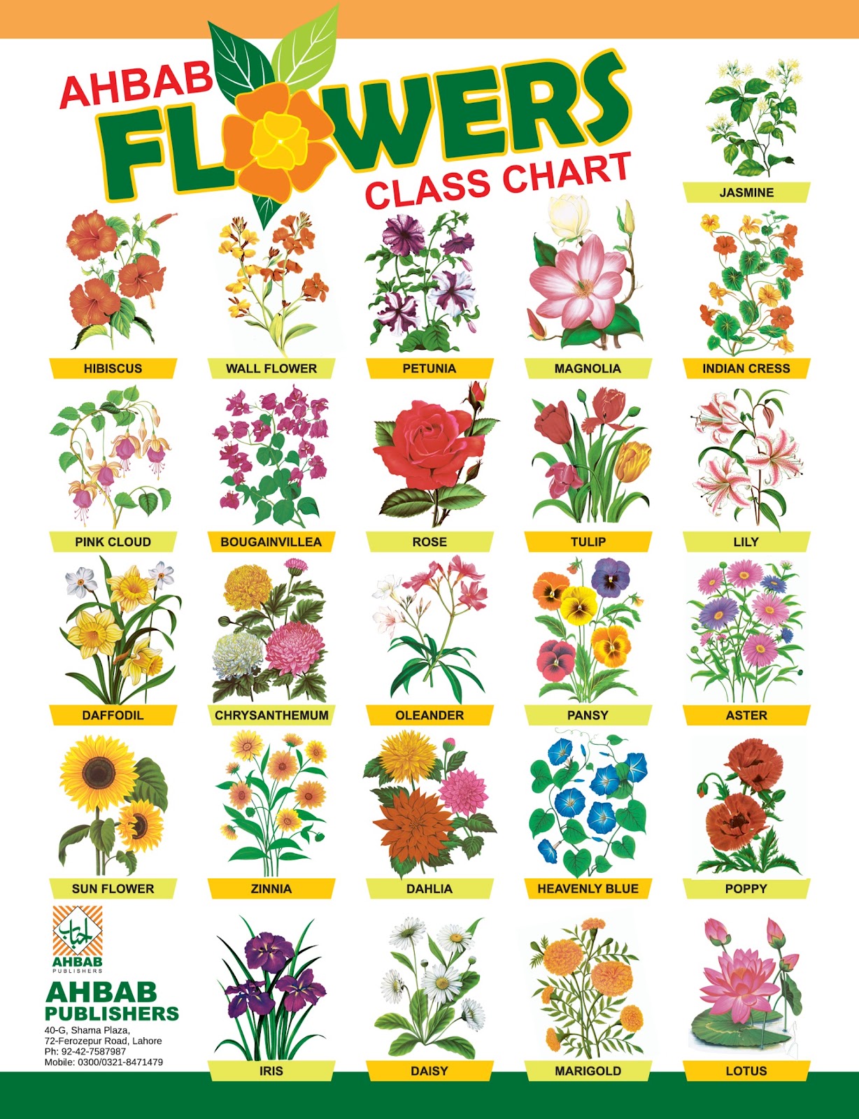 Flowers - Class Chart