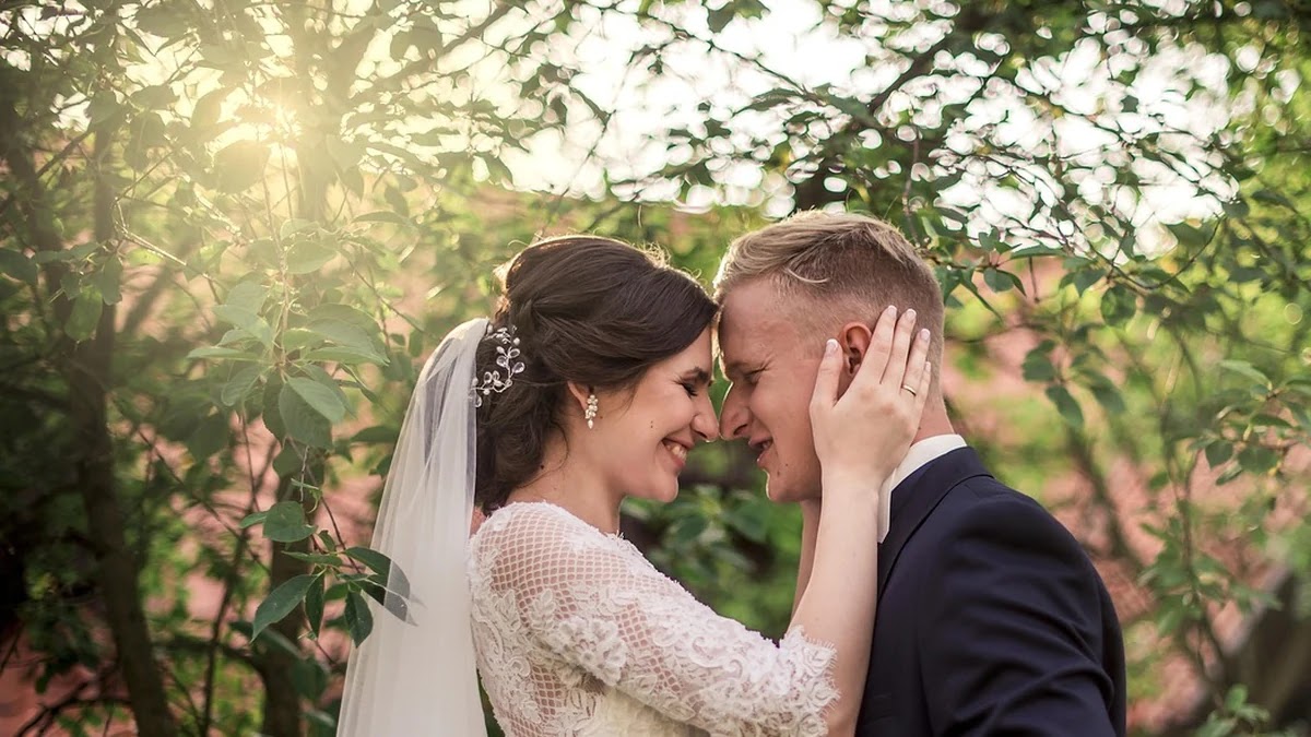 논리 오류별 금융사기 설득 구문의 구조와 특징 비교