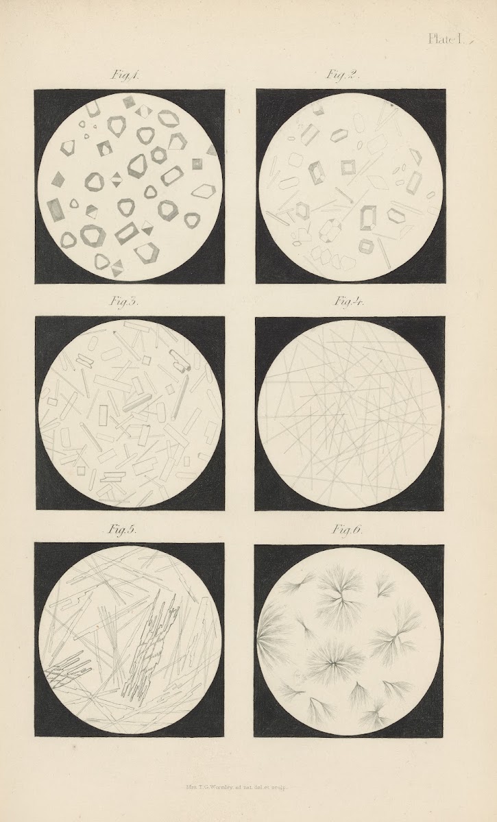 Micro Chemistry of Poisons Pl17 1885