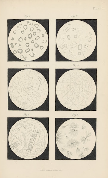Micro Chemistry of Poisons Pl17 1885