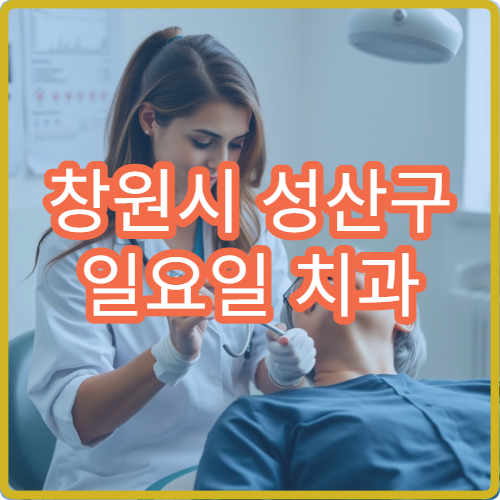 창원시 성산구 일요일 치과 진료 병원 신경치료 가능