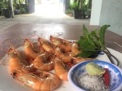 Tada chỉ sau vài phút nấu đơn giản là chúng ta có ngay món tôm hấp coca siêu ngon. Mời cả nhà cùng thưởng thức nào.