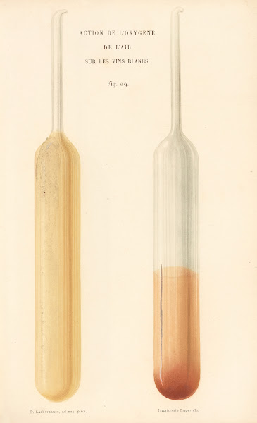 Études Sur Le Vin Pl17 1866