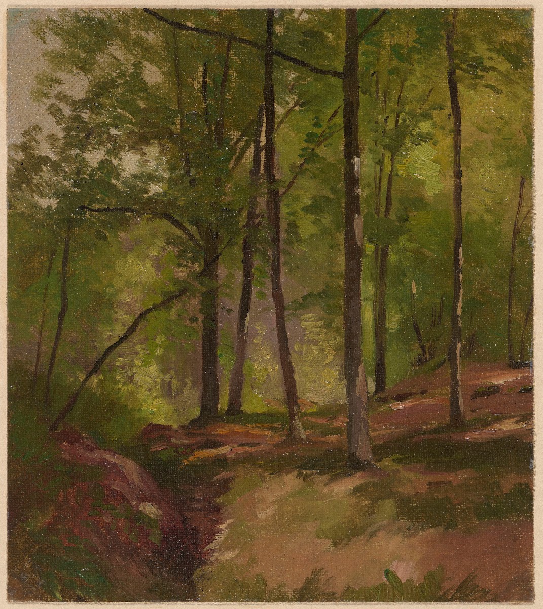 Inside the Forest 1892 1910