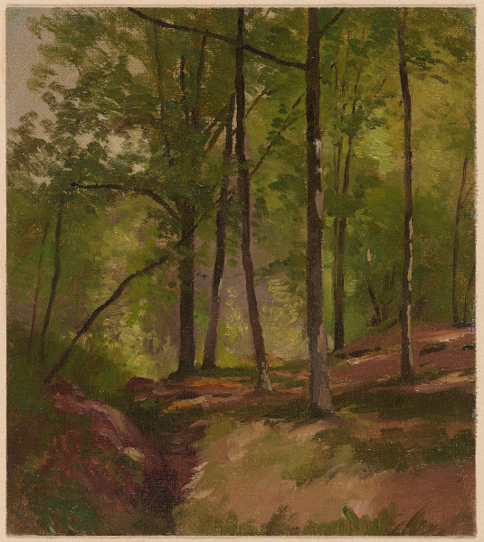 Inside the Forest 1892 1910