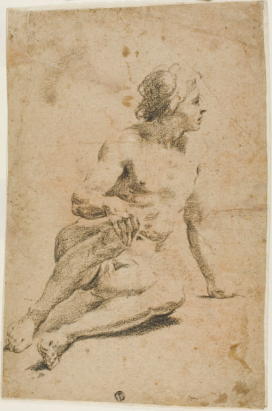 Seated Male Nude