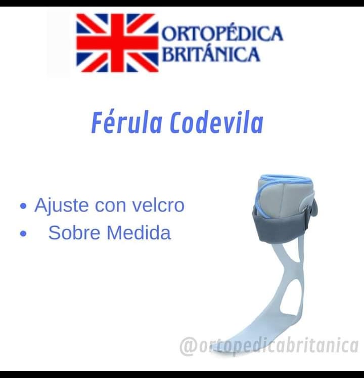 Férula codevila - FERULAS