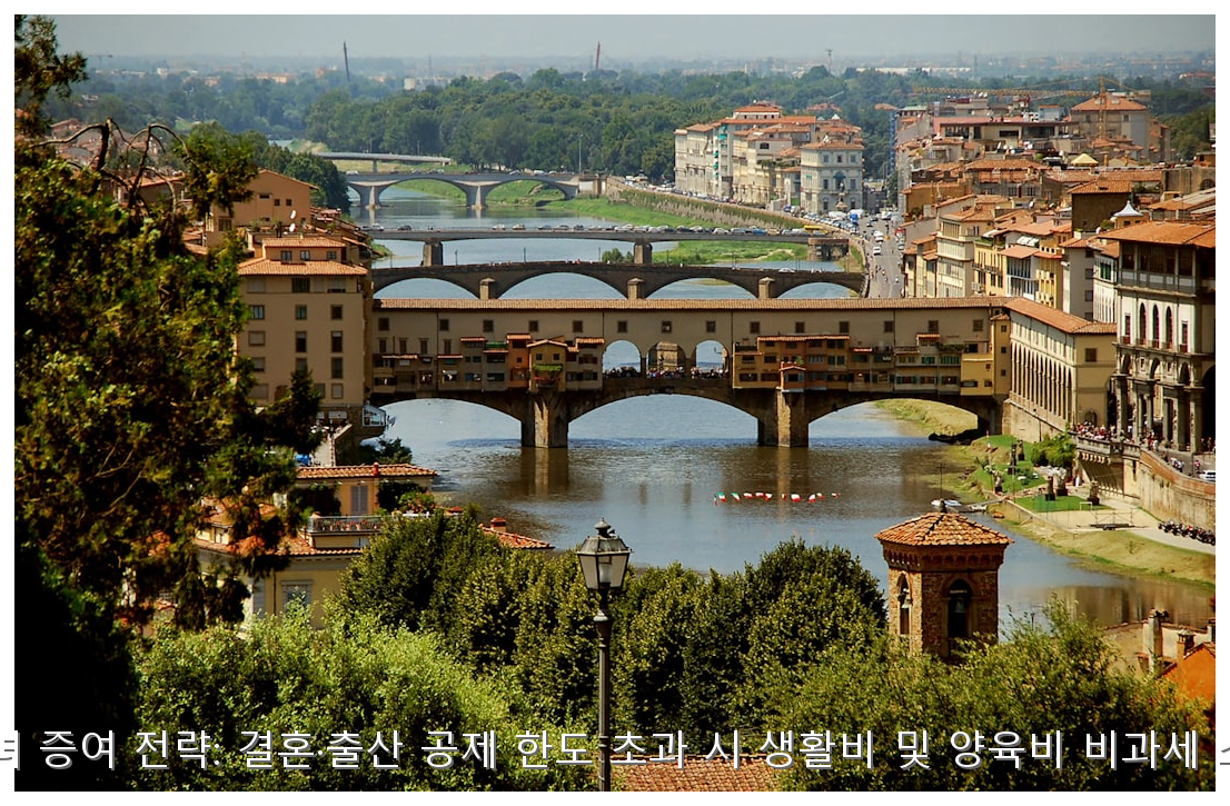 2026년 자녀 증여 전략: 결혼·출산 공제 한도 초과 시 생활비 및 양육비 비과세 소명 가이드 핵심 안내 및 분석 인포그래픽 (2)