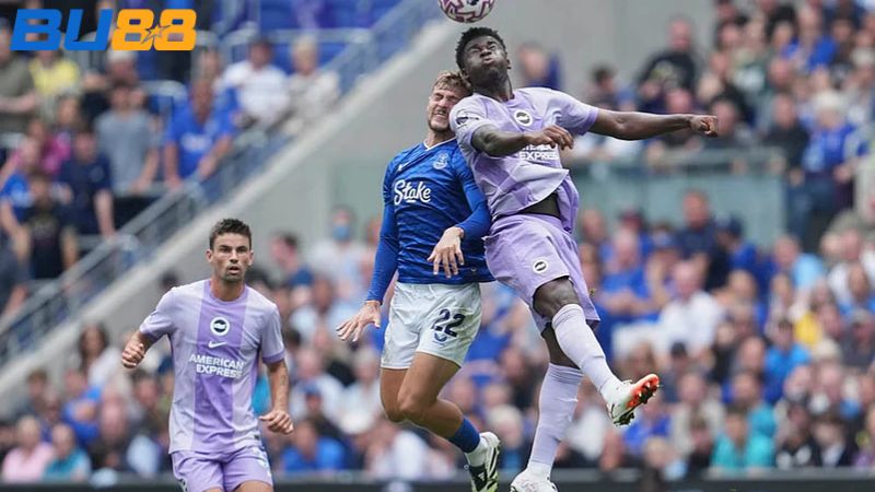 Lịch sử đối đầu giữa hai đội Brighton vs Everton