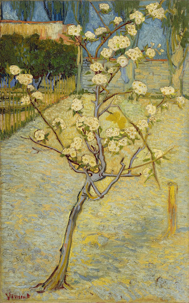 Small pear tree in blossom 1888