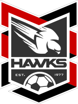 Holland Park Hawks logo