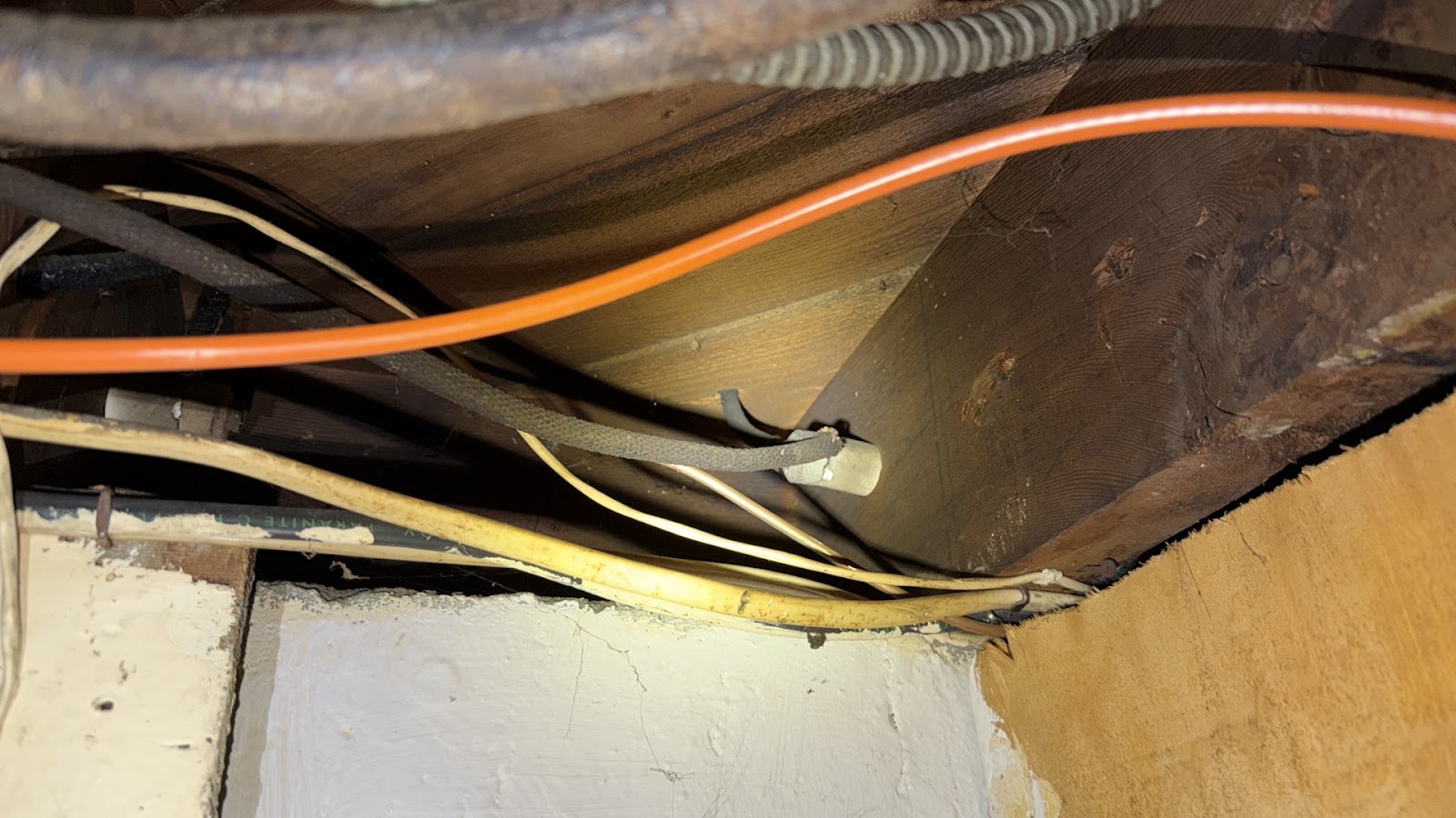 Copy of IMG_2026-03-13_14-34-10_635.jpg