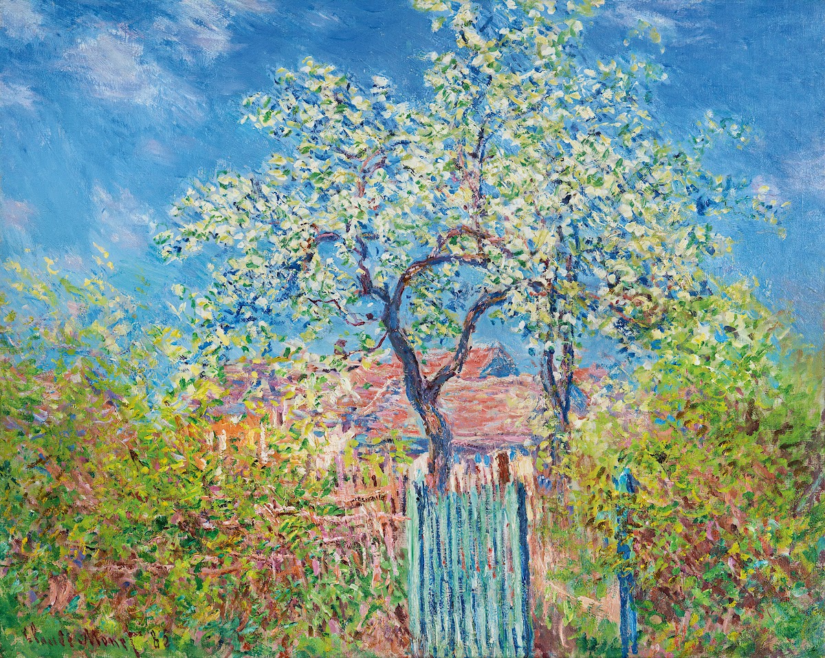 Poirier En Fleurs 1885
