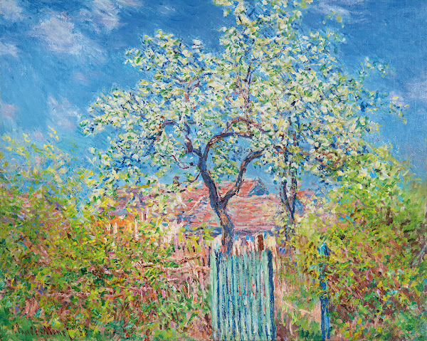 Poirier En Fleurs 1885