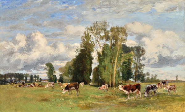 Weidende Kühe