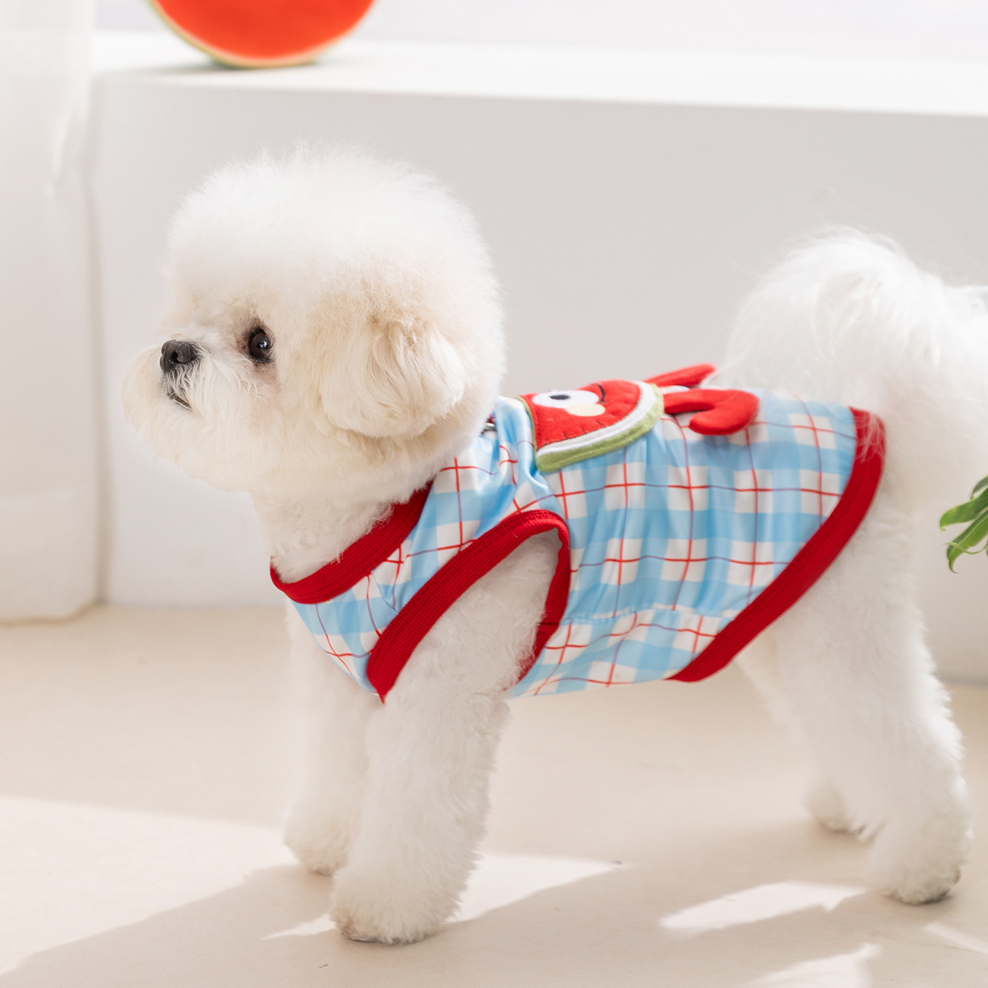 Sleeveless summer vest for small dogs and cats