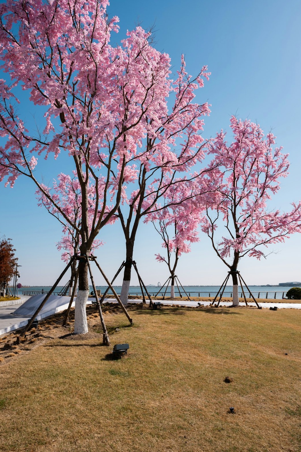 2026 봄 캠핑장 BEST: 가족 여행 완벽 가이드