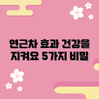 연근차, 건강 효능, 면역력 강화, 다이어트 음료, 자연차