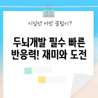 도블 보드게임 가격, 도블 카드 추천, 어떻게 도블 게임을 즐기나, 오리지널 도블 특징, 도블 보드게임 효과