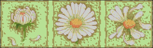 CMP 171906 Pattern