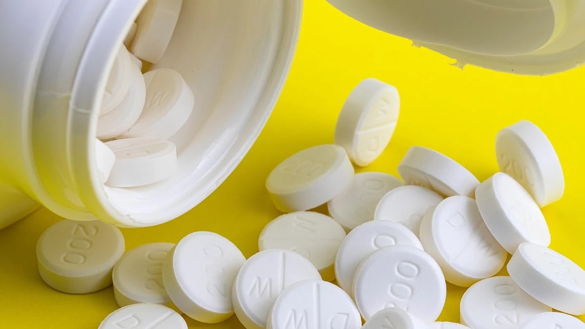 건강기능식품 성분별 효과 비교와 선택 기준