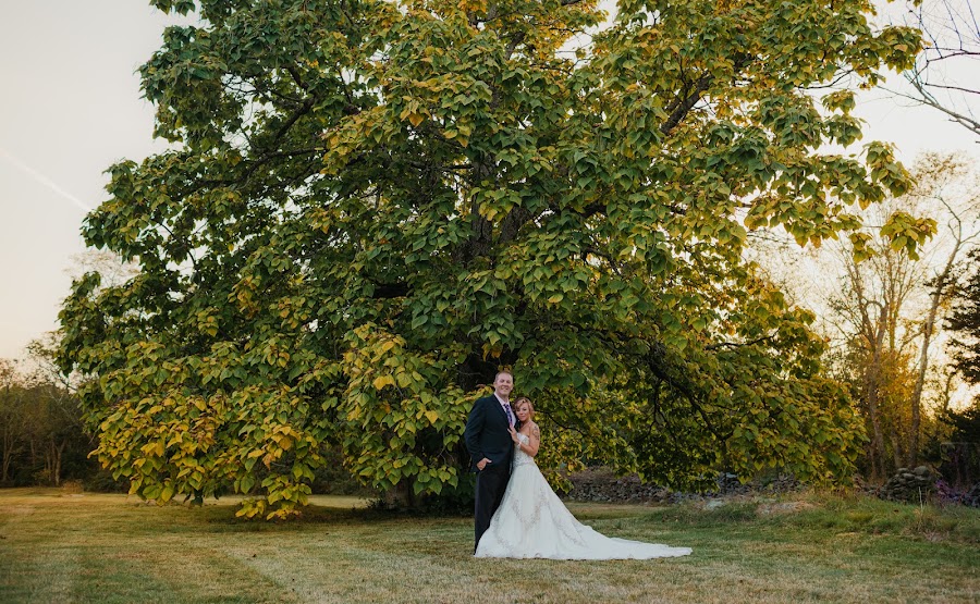 Wedding couple beneath a majestic tree at golden hour — Connecticut wedding photographer