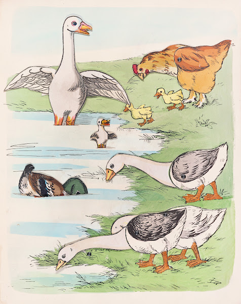 Geese ducks and chickens 1884