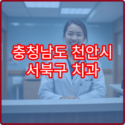 충청남도 천안시 서북구 치과 설날 명절 문 여는 병원 예약 가능 확인