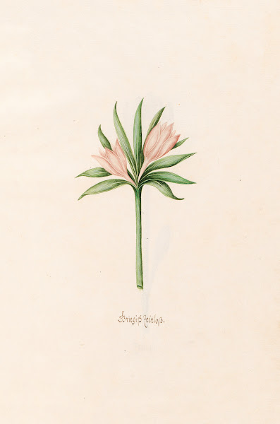 Griegish Zeitloss 1692