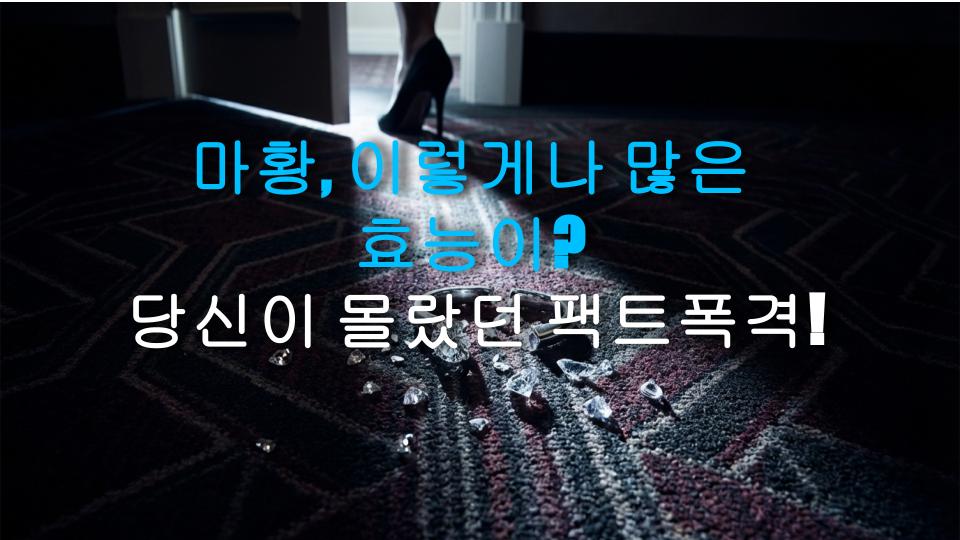 마황, 이렇게나 많은 효능이? 당신이 몰랐던 팩트폭격!