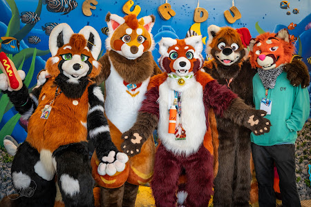 furdu-04166.jpg