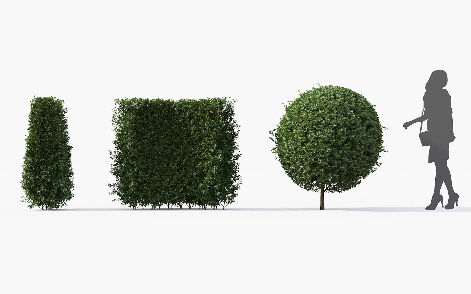 Maxtree - Plant Models Vol.28