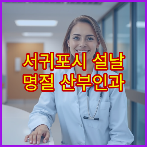 서귀포시 설날 명절 산부인과 진료 가능 병원 정보
