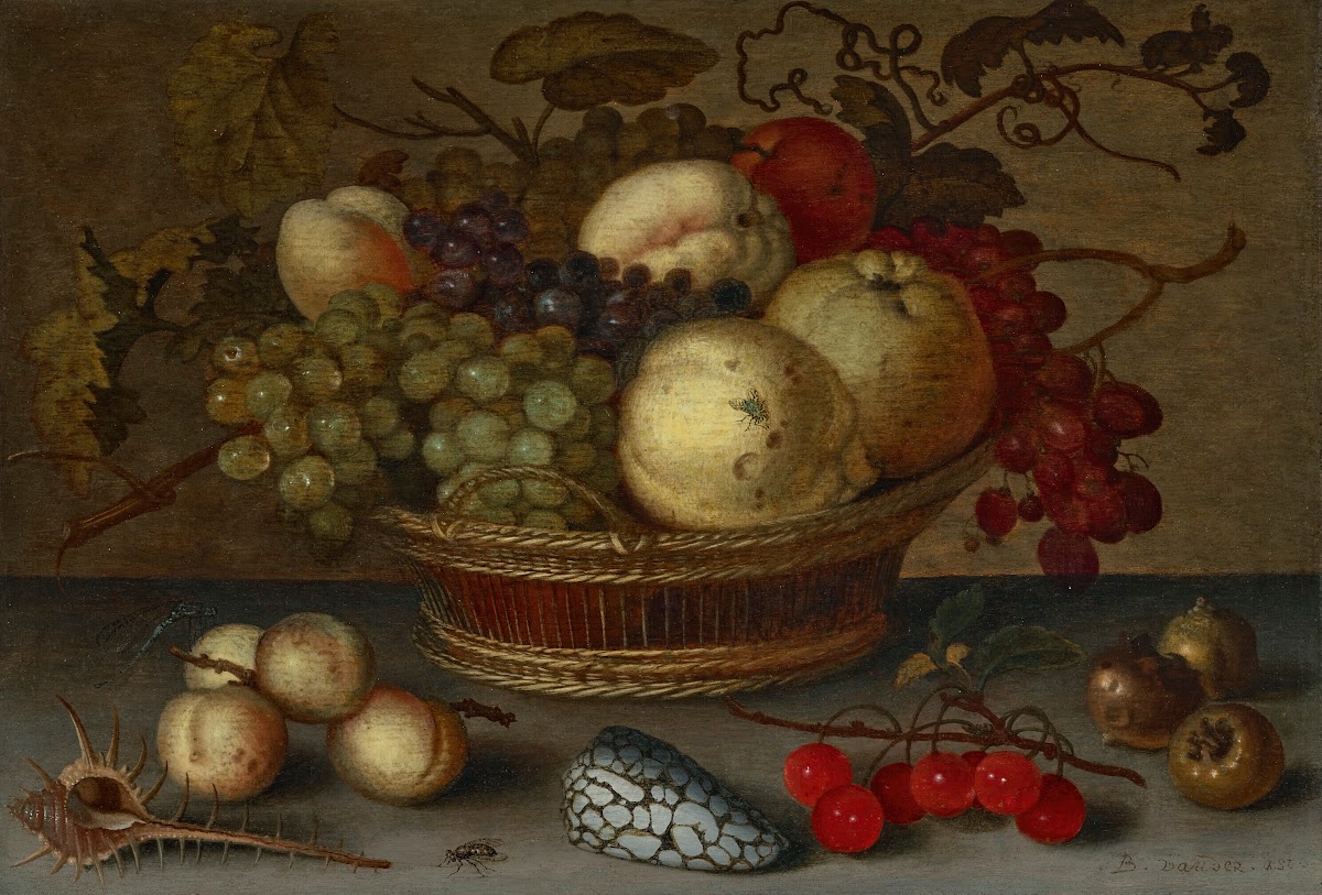 Apples and grapes in a basket with fruit and shells on a stone ledge