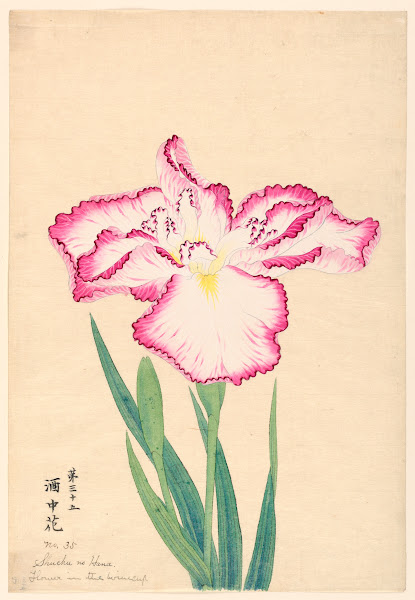 Flower in the Wine Cup Shuchu no Hana 1910