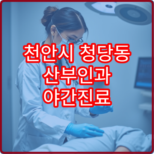 천안시 청당동 산부인과 야간진료 운영 병원 정리