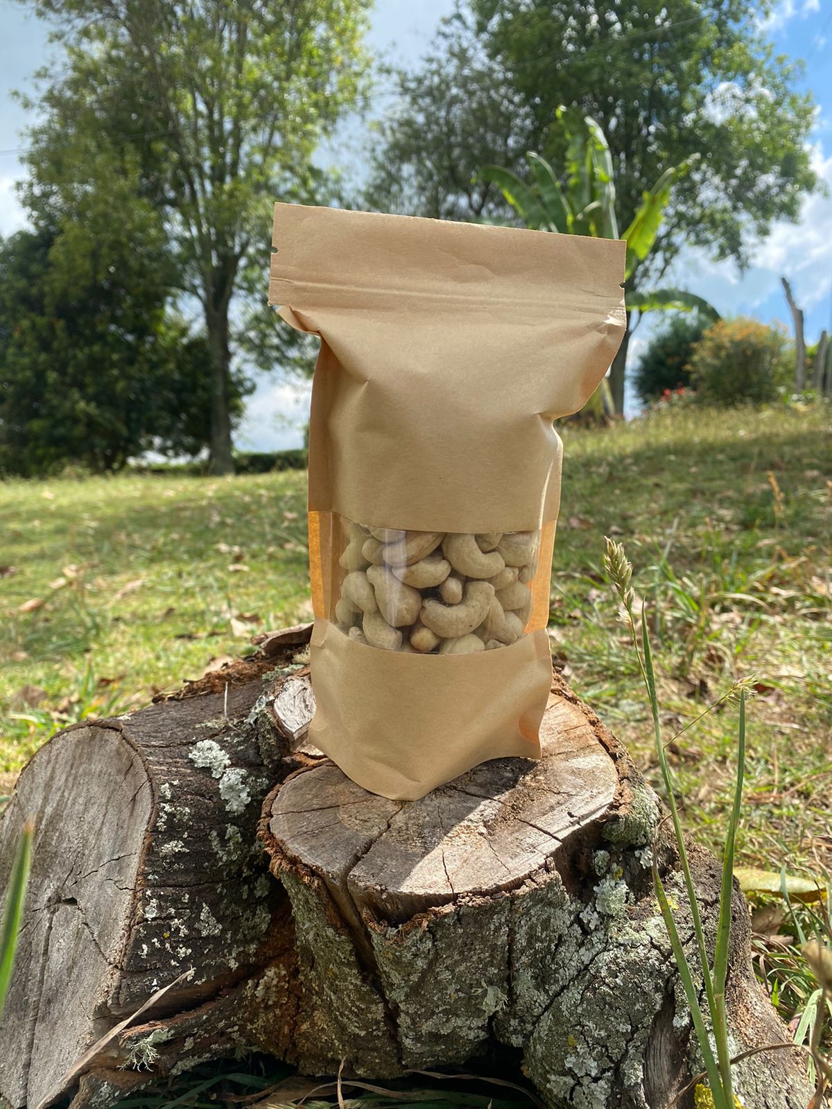 Comprar marañon orgánico