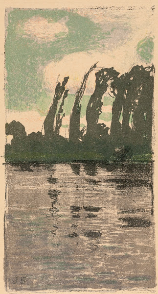 Topole 1901