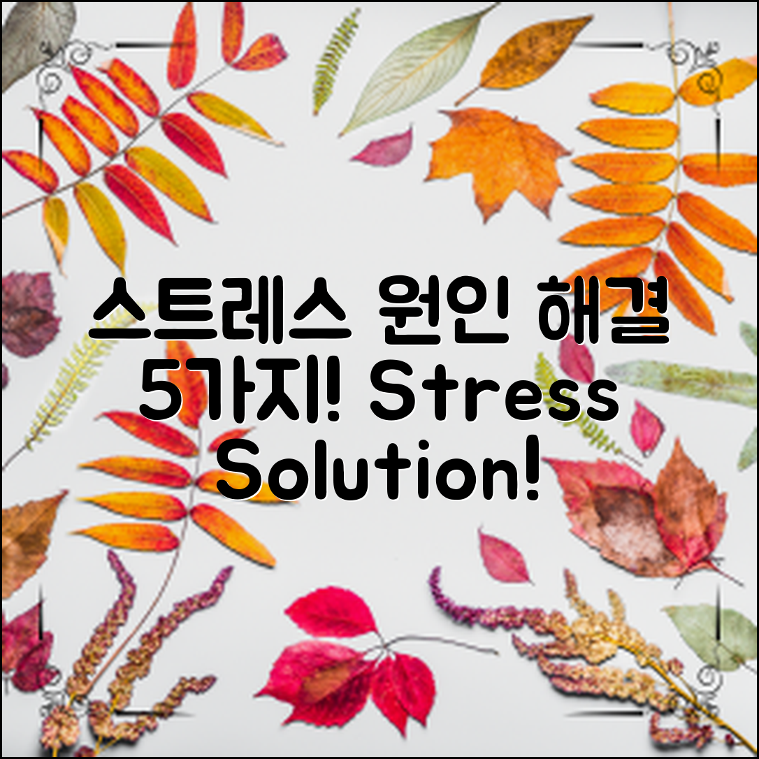 스트레스 원인과 해결 방법 5가지**