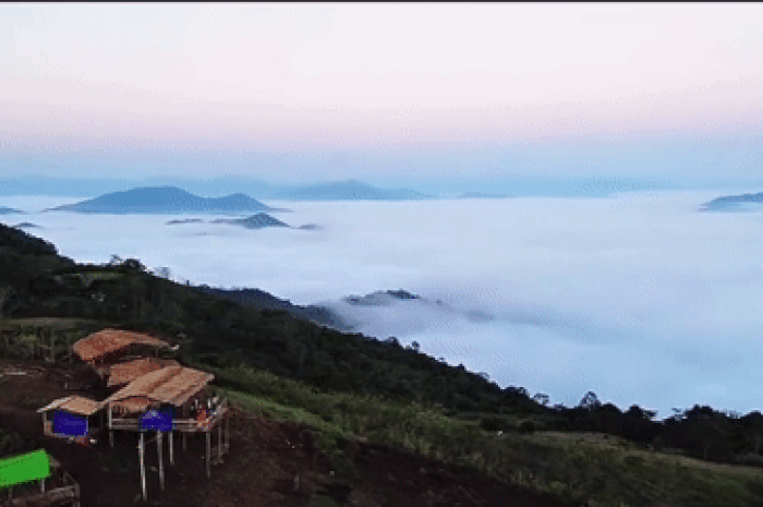 Điểm săn mây hoang sơ gây sốt ở 'đỉnh trời' Pha Đén xứ Thanh - Báo VietnamNet