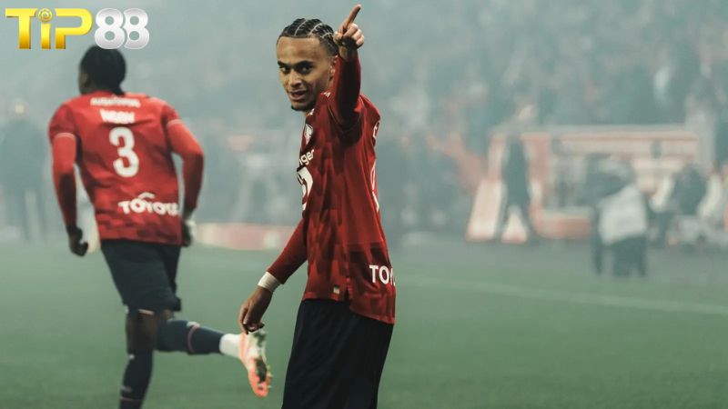 Lịch sử đối đầu Young Boys vs Lille