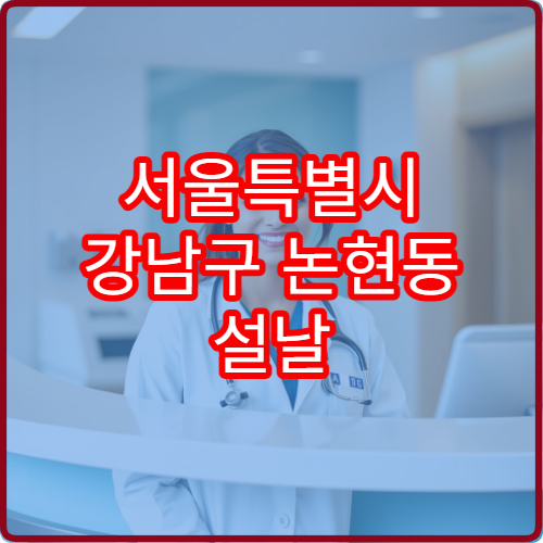 서울특별시 강남구 논현동 설날 명절 연휴 심야 운영 약국 논현1·2동 사거리 상권 위치