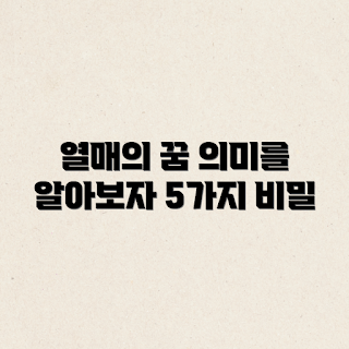 주렁주릉 열매 꿈, 꿈 해몽, 꿈의 의미, 초보자 꿈풀이, 긍정적인 꿈징후
