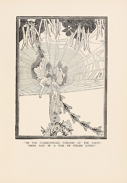 In the commonplace corners of the earth there may be a pair of pollen lovers 192