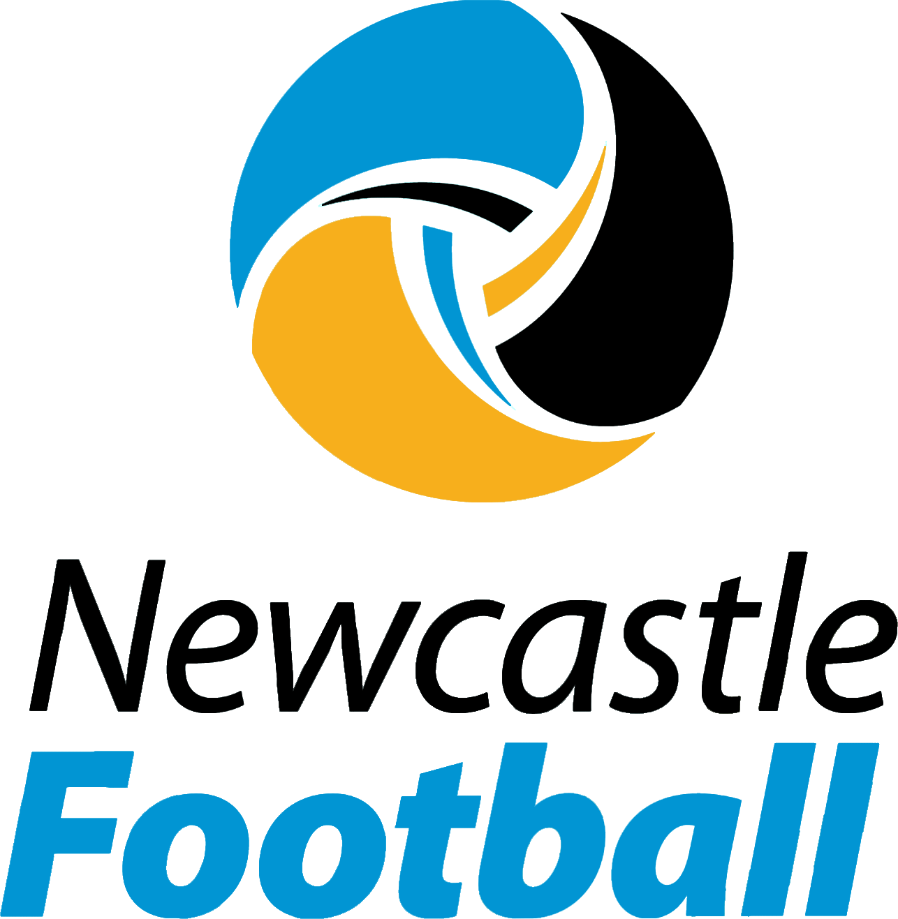 NNSW - Newcastle All Age E logo
