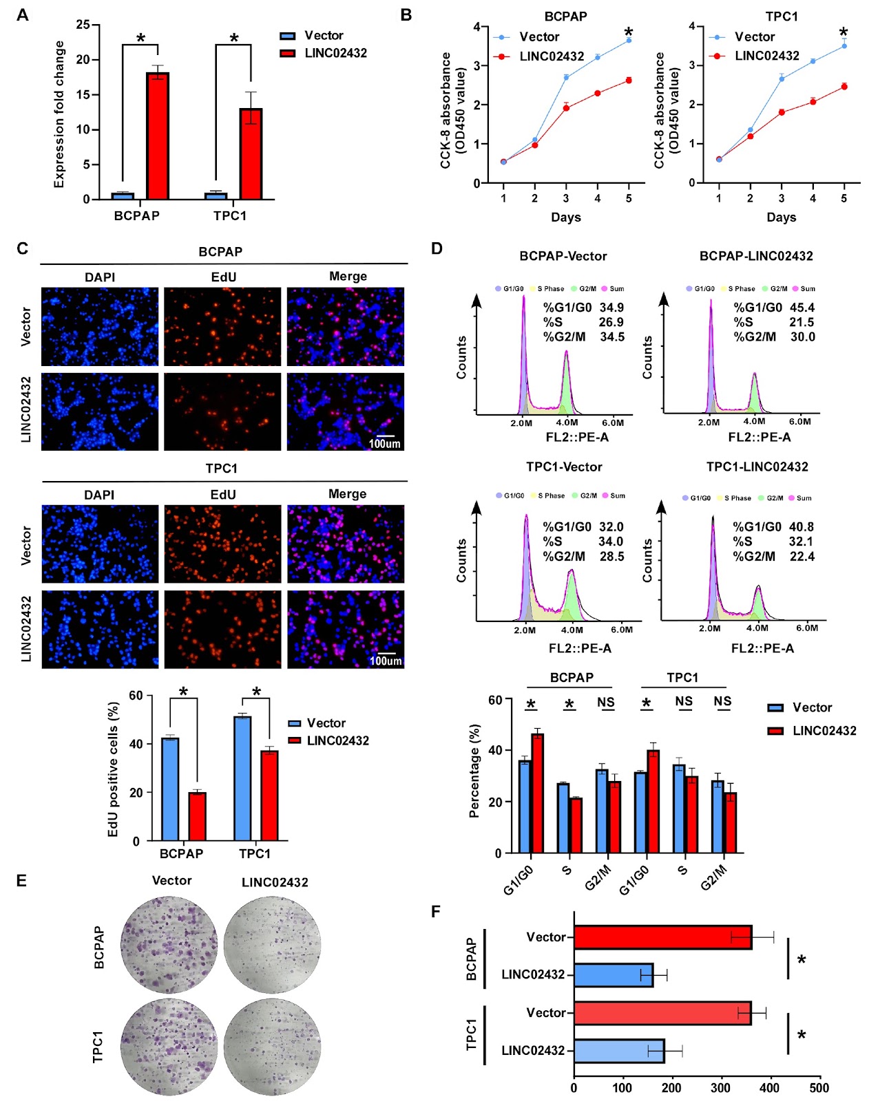 Long noncoding RNA LINC02432 inhibits papillary thyroid cancer via promoting ferroptosis